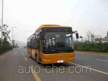 CSR Times TEG TEG6129GJ city bus