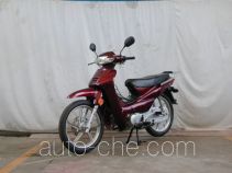 Dongli TN110-C underbone motorcycle