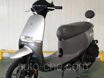 Wanglong WL100T-9 scooter