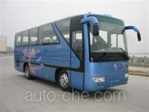 Golden Dragon XML6800E2G автобус