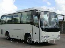 Golden Dragon XML6807J18 bus