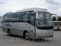 Golden Dragon XML6807J53 bus