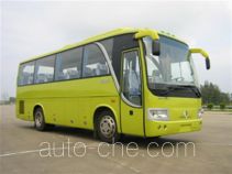Golden Dragon XML6843E1A bus