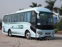 Golden Dragon XML6908J18 bus