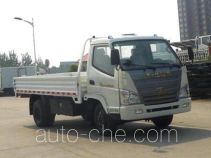 T-King Ouling ZB1030LDD6F dual-fuel cargo truck