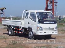 T-King Ouling ZB1043LPDS cargo truck