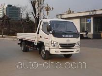 T-King Ouling ZB1046LDC5F cargo truck