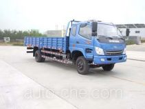 T-King Ouling ZB1160TPG3F cargo truck