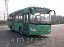 Shenye ZJZ6800GP3 city bus