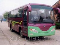 Shenye ZJZ6801 bus